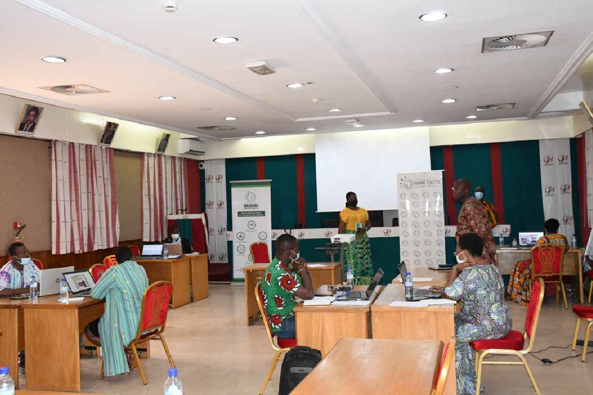 DEPOUILLEMENT DES DOSSIERS DE CANDIDATURE DU PRIX PIERRE CASTEL 2021 AU BURKINA FASO