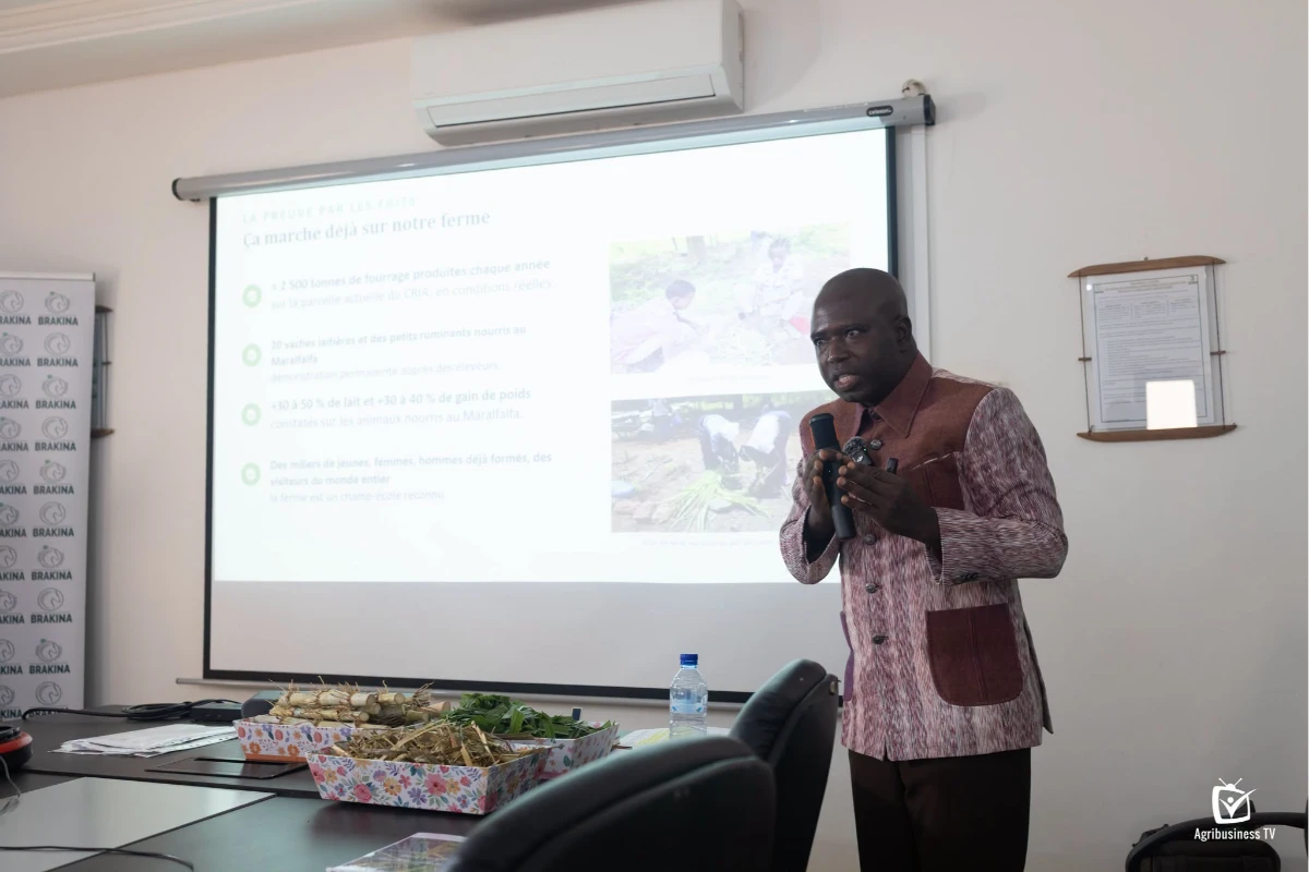 Prix de l'entrepreneuriat African 2026
