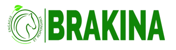 Logo BRAKINA RSE