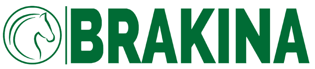Logo de Brakina sans fonds