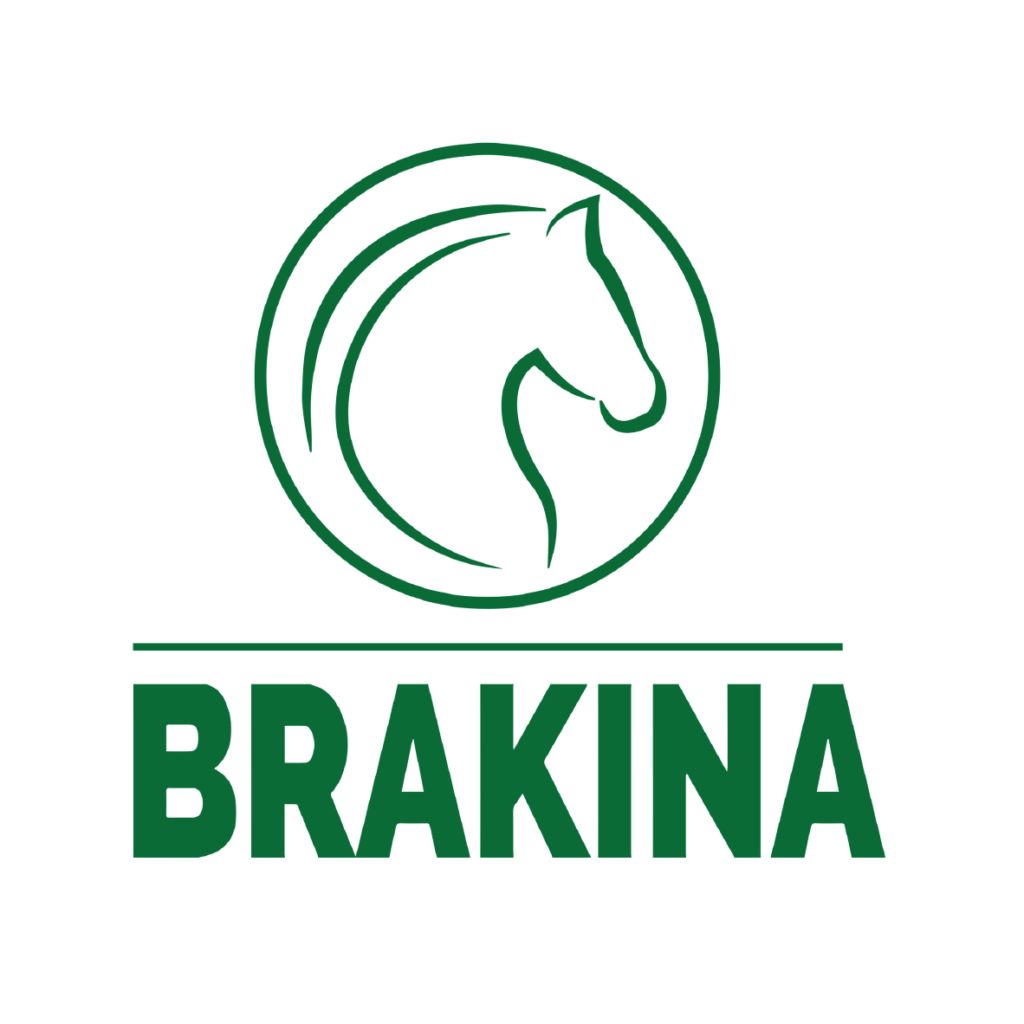 Logo BRAKINA bon